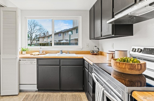 kitchen featuring sink, stainless steel range with electric stovetop, and dishwasher