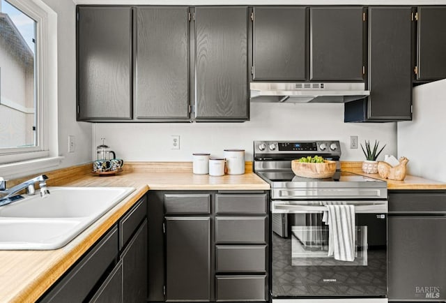 kitchen with stainless steel electric range, sink, and fridge