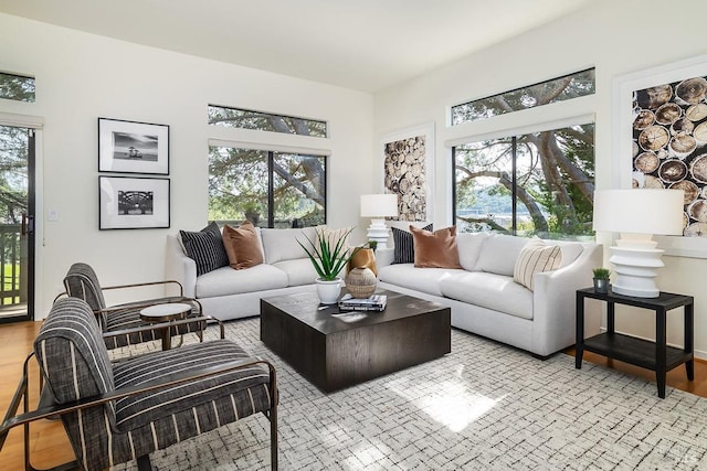 living room with light hardwood / wood-style floors and plenty of natural light