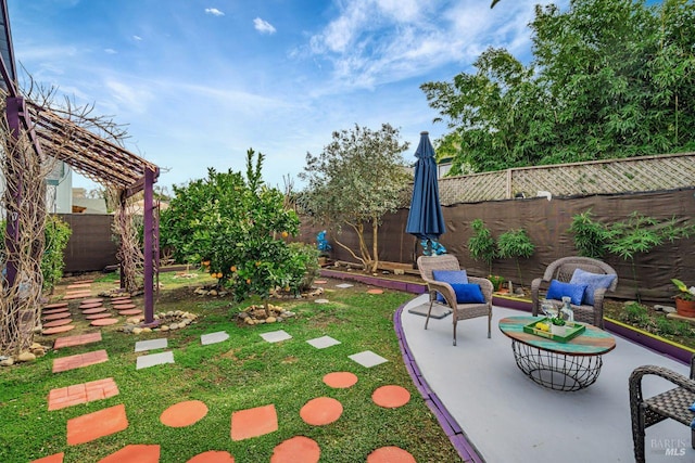 view of yard with a patio area and a fenced backyard