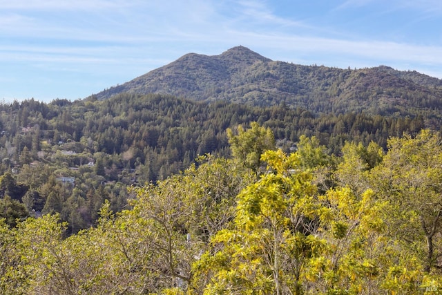 view of mountain feature with a view of trees