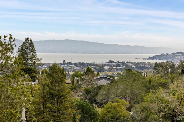 property view of mountains featuring a water view