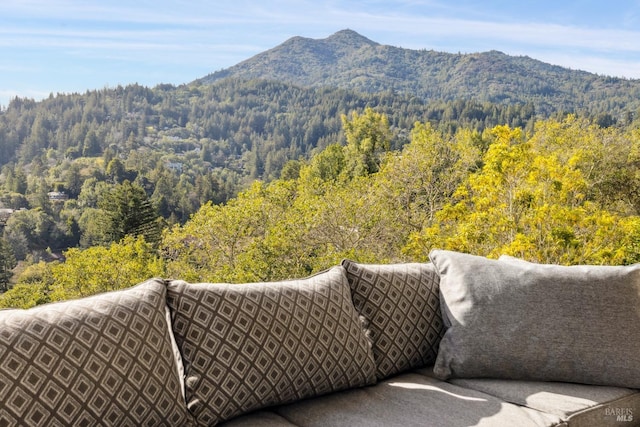 view of mountain feature with a wooded view