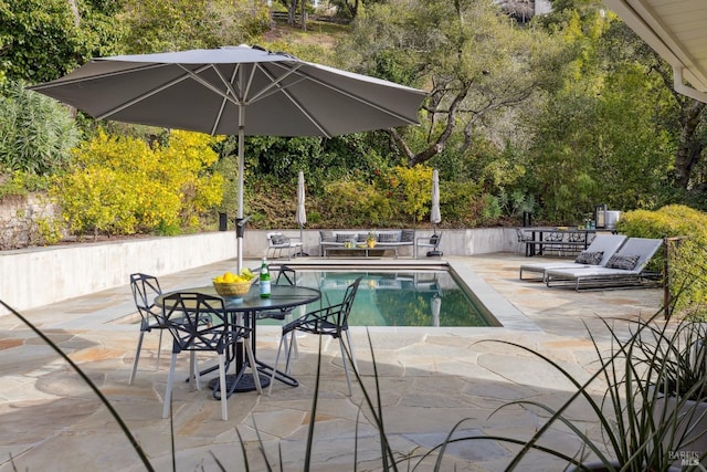 view of pool featuring a patio area and a fenced in pool