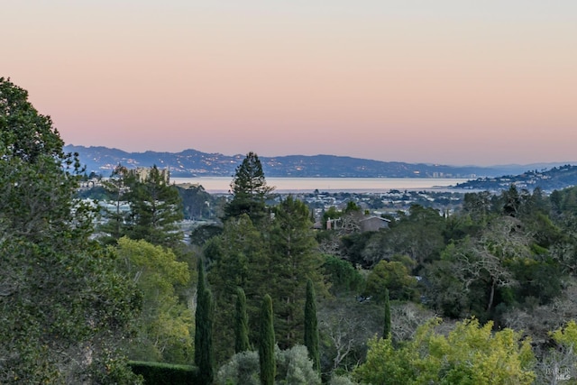 property view of mountains featuring a water view