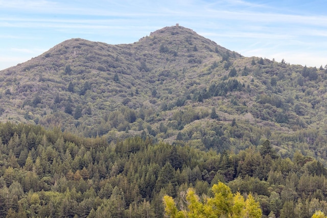 view of mountain feature with a view of trees