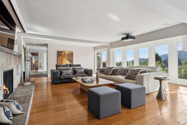 living room with a fireplace and wood finished floors