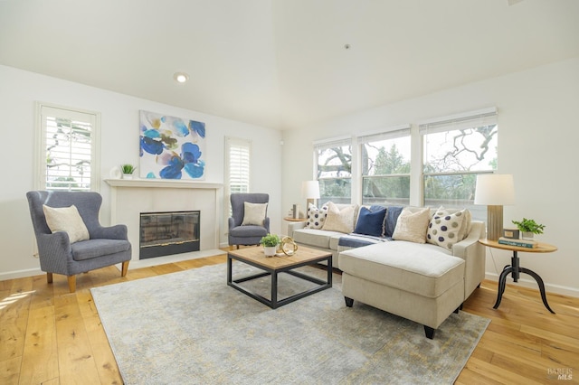 living room featuring light wood-type flooring and plenty of natural light