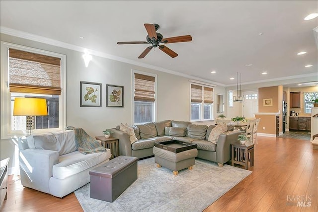 living room featuring ceiling fan, ornamental molding, and light hardwood / wood-style floors