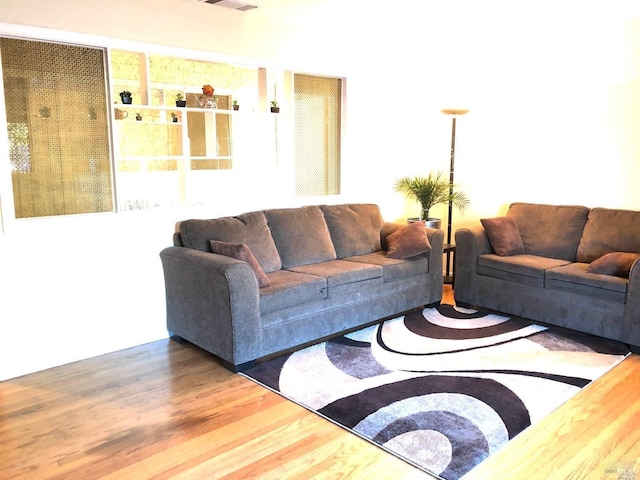 living room with wood-type flooring