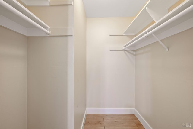 spacious closet with hardwood / wood-style floors