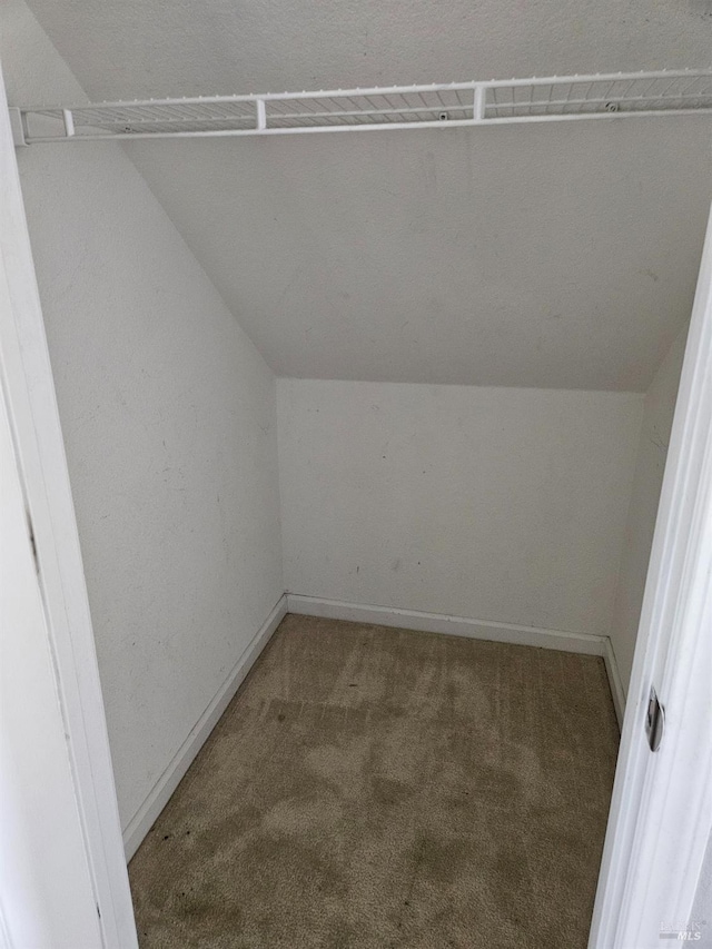 additional living space featuring carpet, baseboards, and vaulted ceiling