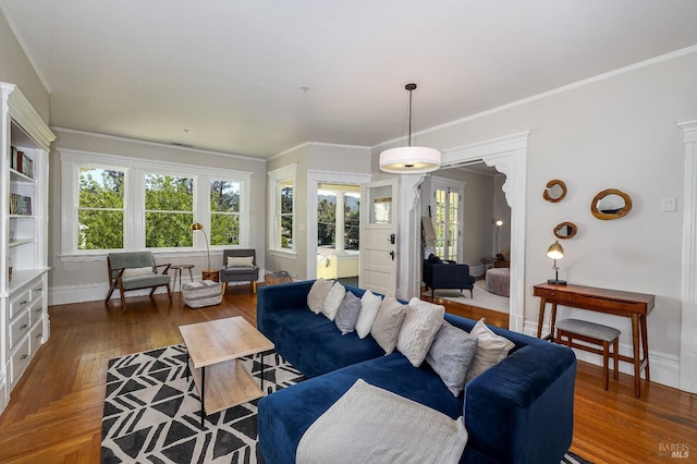 living room featuring dark wood-type flooring and crown molding