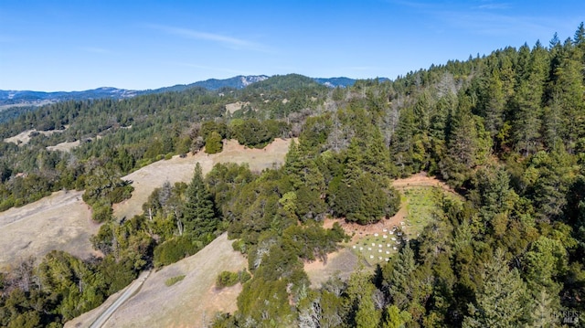 Listing photo 3 for 47000 Fox Rock Rd, Laytonville CA 95454