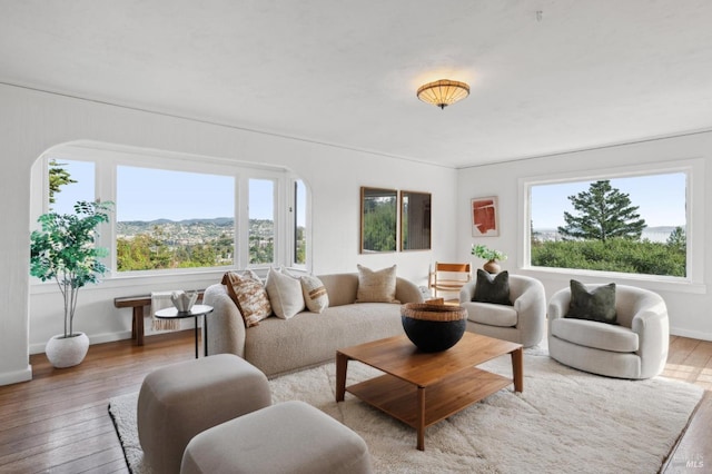 living room featuring a mountain view, light hardwood / wood-style flooring, and a wealth of natural light