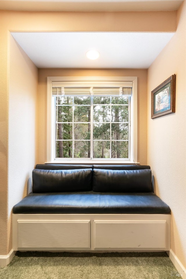 unfurnished room featuring baseboards and carpet flooring