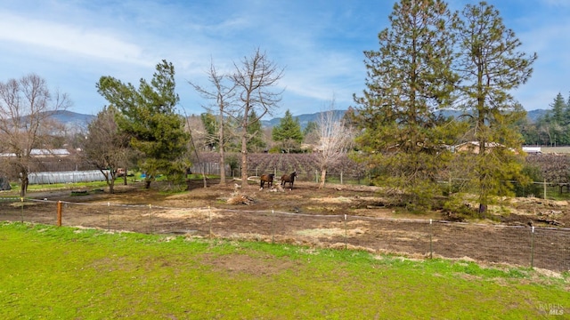 view of yard featuring a rural view and a mountain view