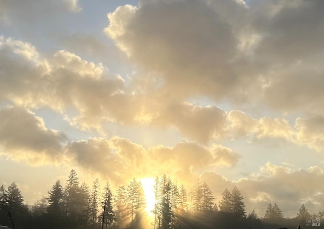 view of nature at dusk