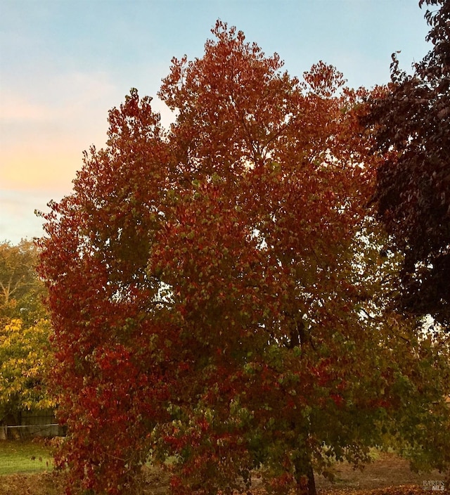 view of nature at dusk