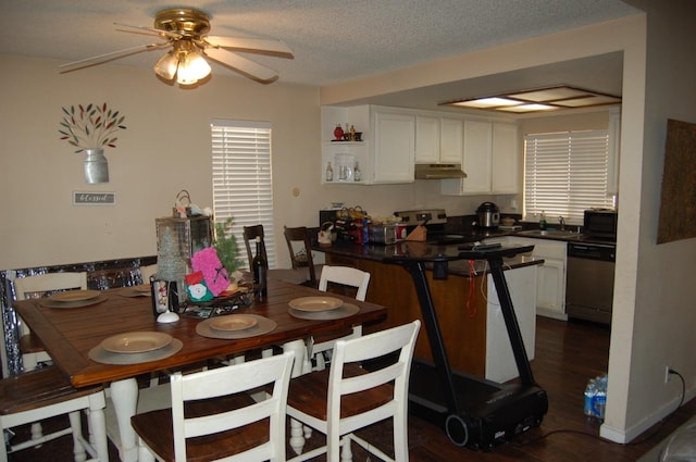 dining space with ceiling fan, sink, and a textured ceiling