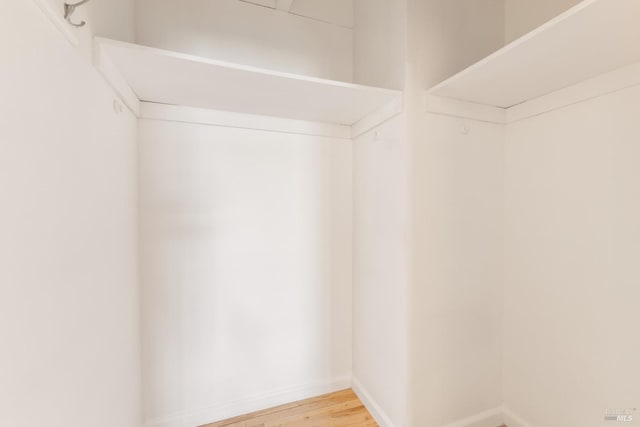 walk in closet with wood-type flooring