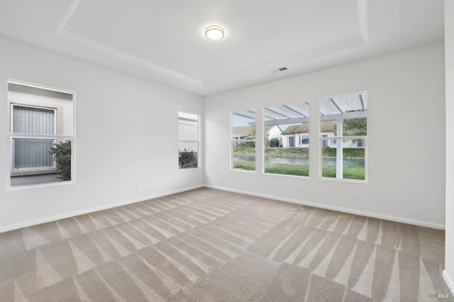 carpeted spare room featuring a raised ceiling
