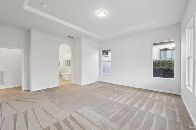 carpeted spare room featuring a tray ceiling