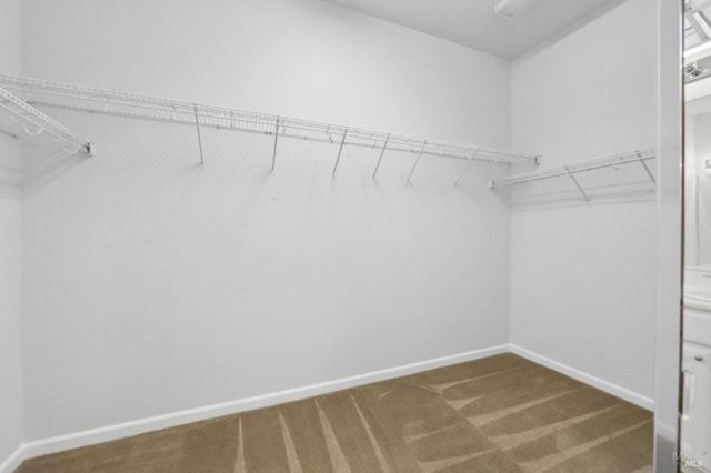 walk in closet with dark carpet