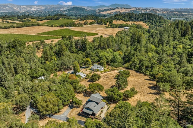 drone / aerial view featuring a rural view, a mountain view, and a view of trees