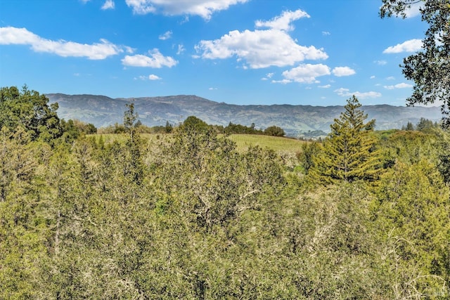 2020 Felta Rd, Healdsburg, CA 95448 - view of mountain feature with a forest view