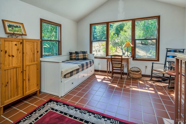 2020 Felta Rd, Healdsburg, CA 95448 - bedroom featuring dark tile patterned flooring and lofted ceiling