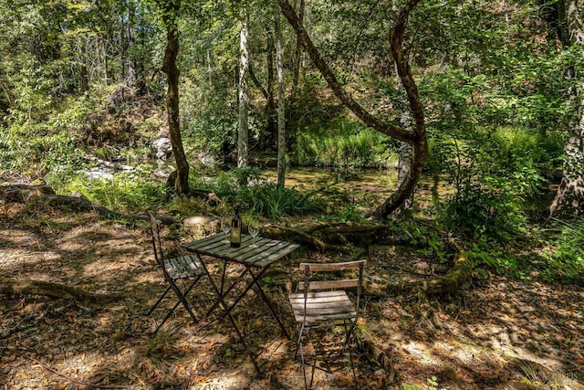 view of home's community featuring a forest view