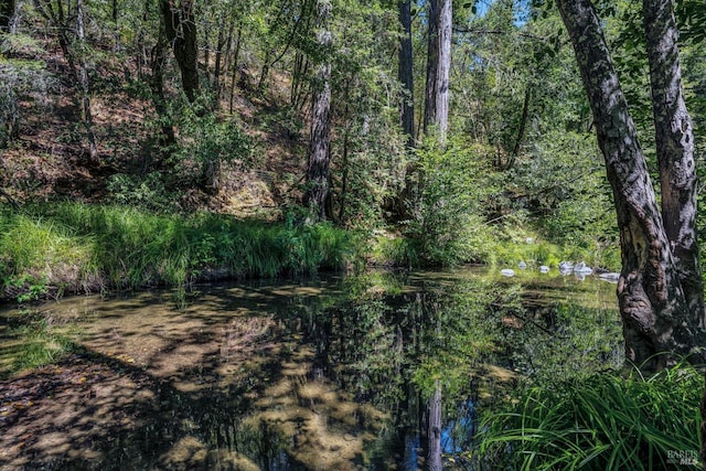 view of landscape with a forest view and a water view