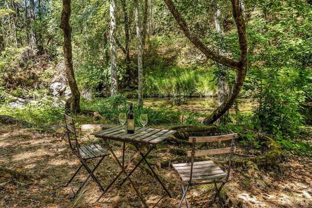 2020 Felta Rd, Healdsburg, CA 95448 - view of community with a forest view