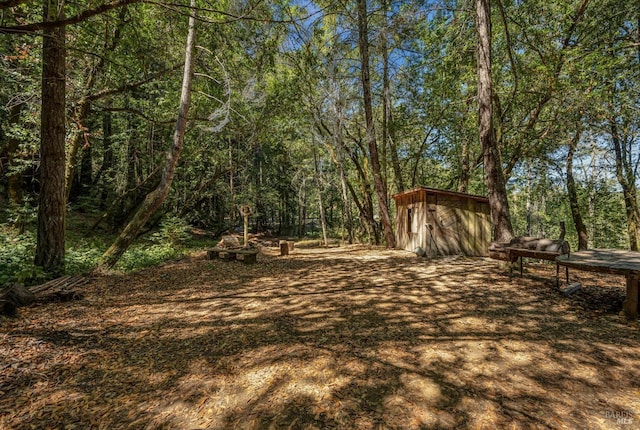 view of yard featuring a view of trees, a storage shed, and an outdoor structure