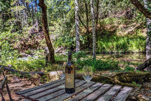 2020 Felta Rd, Healdsburg, CA 95448 - exterior space