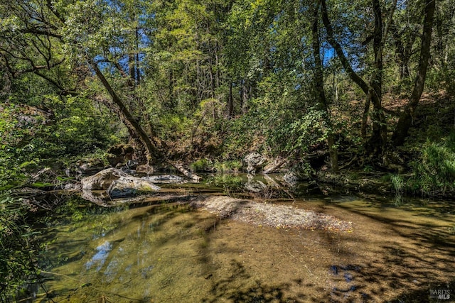 2020 Felta Rd, Healdsburg, CA 95448 - view of local wilderness with a wooded view