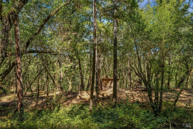 view of local wilderness with a wooded view