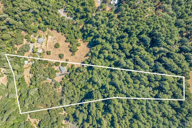 drone / aerial view with a view of trees