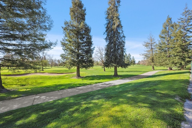 view of community featuring a lawn