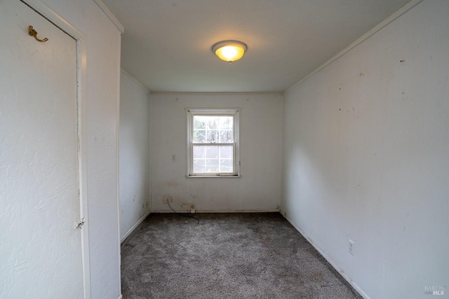 carpeted empty room featuring crown molding