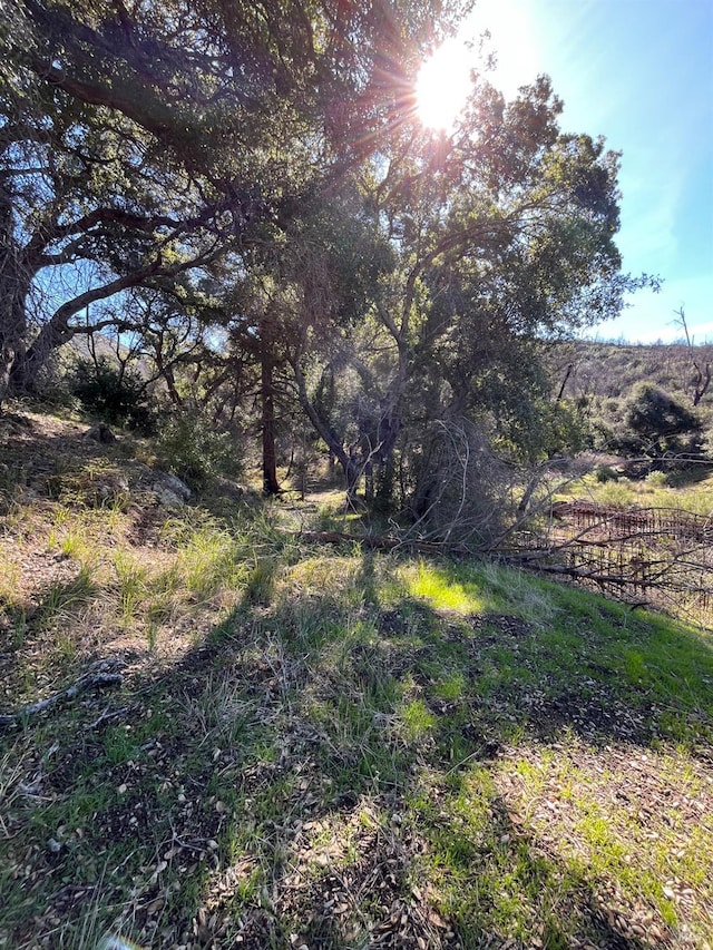 Listing photo 3 for 0 Sage Canyon Rd, Saint Helena CA 94574