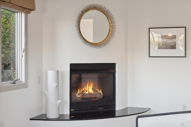 interior details with a glass covered fireplace