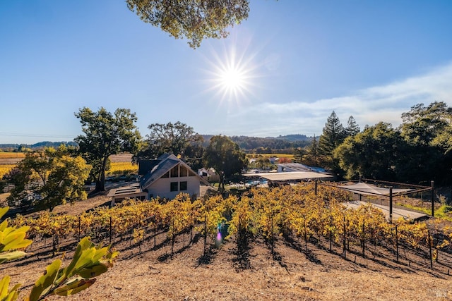 view of yard with a rural view