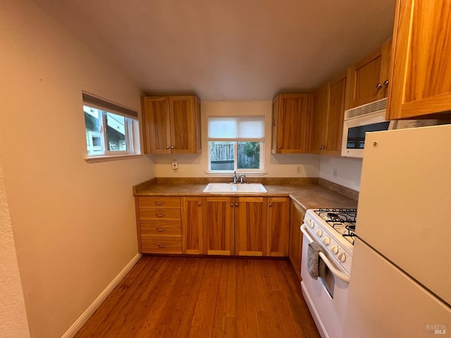 kitchen with white appliances, brown cabinetry, plenty of natural light, and a sink