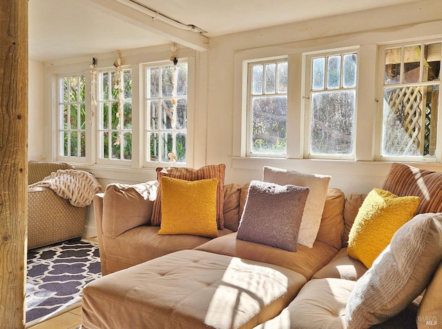 195 Ocean View Ave, Bodega Bay, CA 94923 - sunroom / solarium featuring healthy amount of natural light