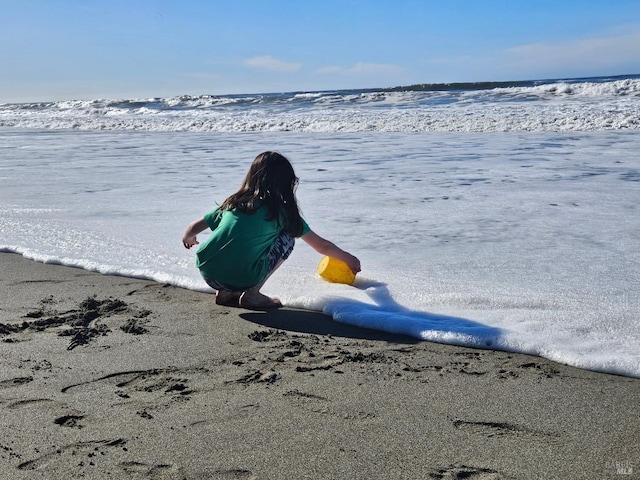 195 Ocean View Ave, Bodega Bay, CA 94923 - water view