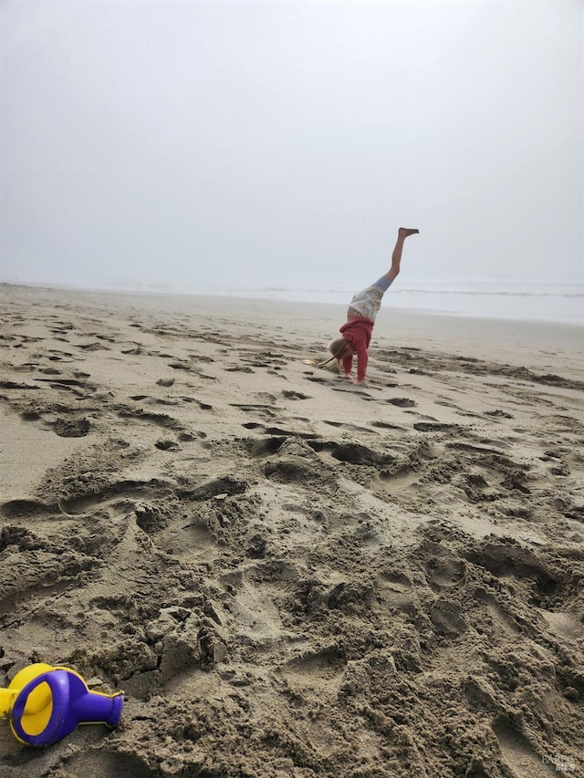 195 Ocean View Ave, Bodega Bay, CA 94923 - water view