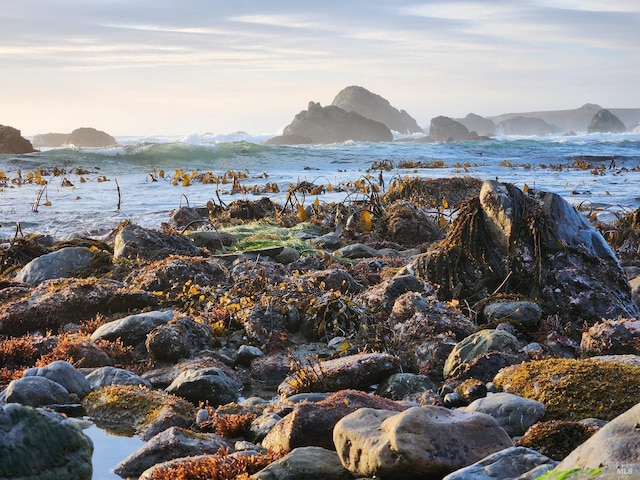 195 Ocean View Ave, Bodega Bay, CA 94923 - water view