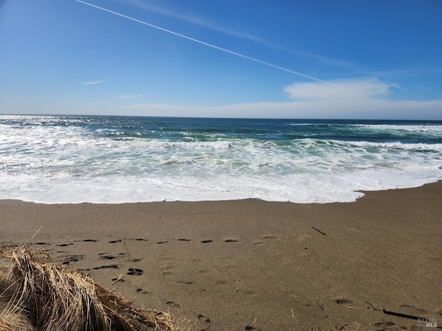 195 Ocean View Ave, Bodega Bay, CA 94923 - water view with nearby beach